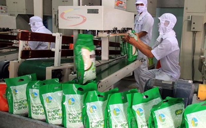 Phát triển thị trường lúa gạo: Gắn sản xuất với chế biến sâu